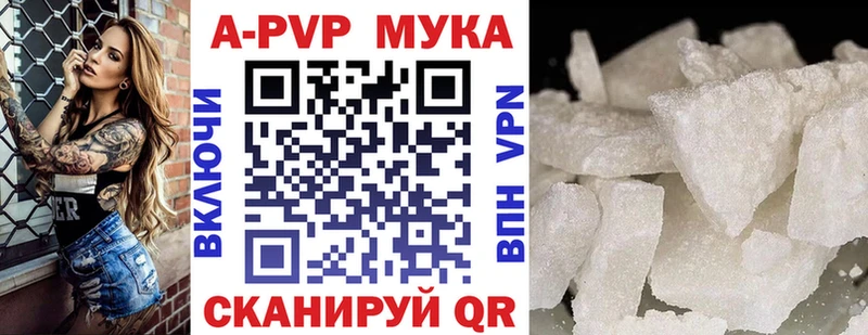 Купить где Данков Alfa_PVP мука