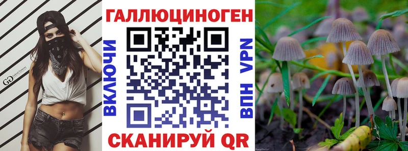Псилоцибиновые грибы Magic Shrooms  Купить  Данков 