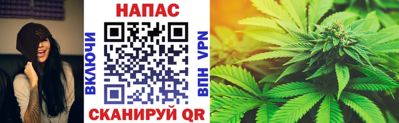 Купить  Данков  Бошки марихуана Amnesia 